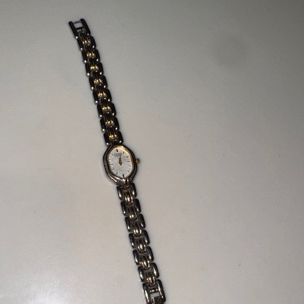 Citizen Two-Tone Women's petite Watch